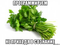 программируем не приходя в сознание