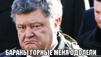  бараны горные меня одолели
