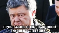  горные бараны во главе с укрокозой тимошенко хотят войны...