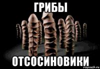 грибы отсосиновики