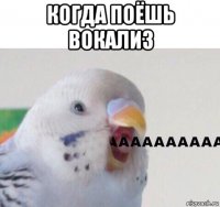 когда поёшь вокализ 
