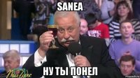 sanea ну ты понел