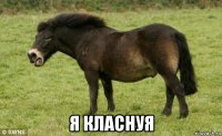  я класнуя