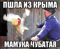пшла из крыма мамука чубатая