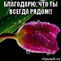 благодарю, что ты всегда рядом!! 