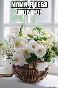 мама, я тебя люблю! 