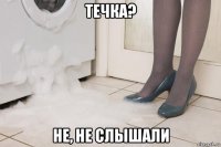 течка? не, не слышали