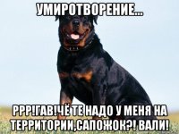 умиротворение... ррр!гав!чё те надо у меня на территории,сапожок?! вали!