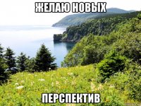 желаю новых перспектив
