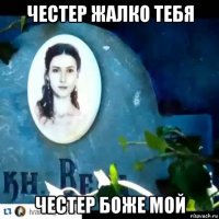 честер жалко тебя честер боже мой