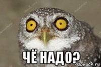  чё надо?