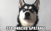  это фиаско, братаны