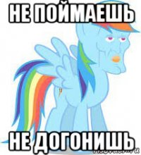 не поймаешь не догонишь
