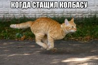 когда стащил колбасу 