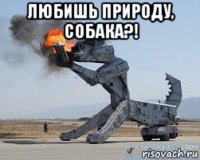любишь природу, собака?! 