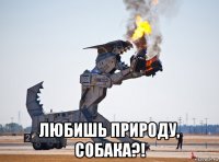  любишь природу, собака?!