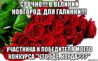 срочно!!! в великий новгород. для галинки!!! участника и победителя моего конкурса "что,где, когда???"