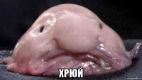  хрюй