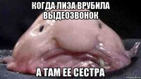 когда лиза врубила выдеозвонок а там ее сестра