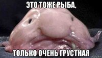это тоже рыба, только очень грустная