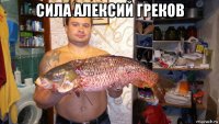 сила алексий греков 
