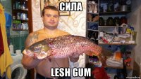 сила lesh gum