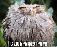  с добрым утром!