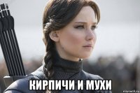  кирпичи и мухи