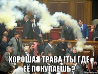  хорошая трава !ты где её покупаешь?