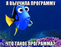 я выучила программу что такое программа?