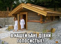  в нашей бане девки голосистые!