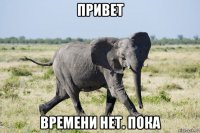 привет времени нет. пока