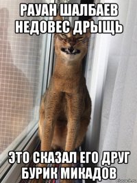 рауан шалбаев недовес дрыщь это сказал его друг бурик микадов