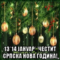  13*14 jaнуар**честит српска нова година!