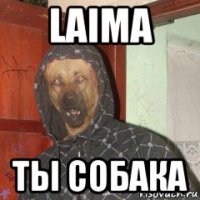 laima ты собака