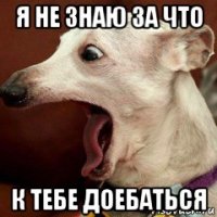 я не знаю за что к тебе доебаться