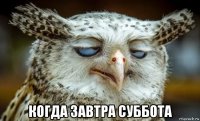  когда завтра суббота