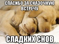 спасибо за сказочную встречу сладких снов
