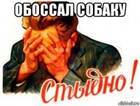 обоссал собаку 