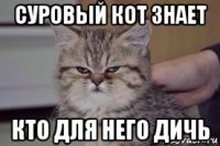 суровый кот знает кто для него дичь