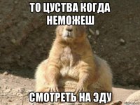 то цуства когда неможеш смотреть на эду