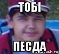 тобі песда