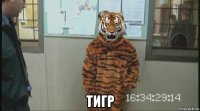  тигр