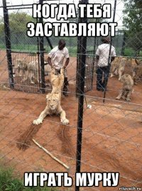 когда тебя заставляют играть мурку