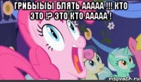 грибыыы блять ааааа !!! кто это !? это кто ааааа ! 