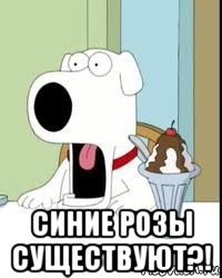  синие розы существуют?!