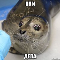ну и дела