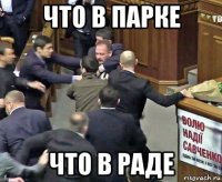 что в парке что в раде