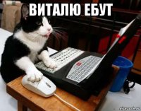 виталю ебут 