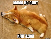 мама но спит или здох